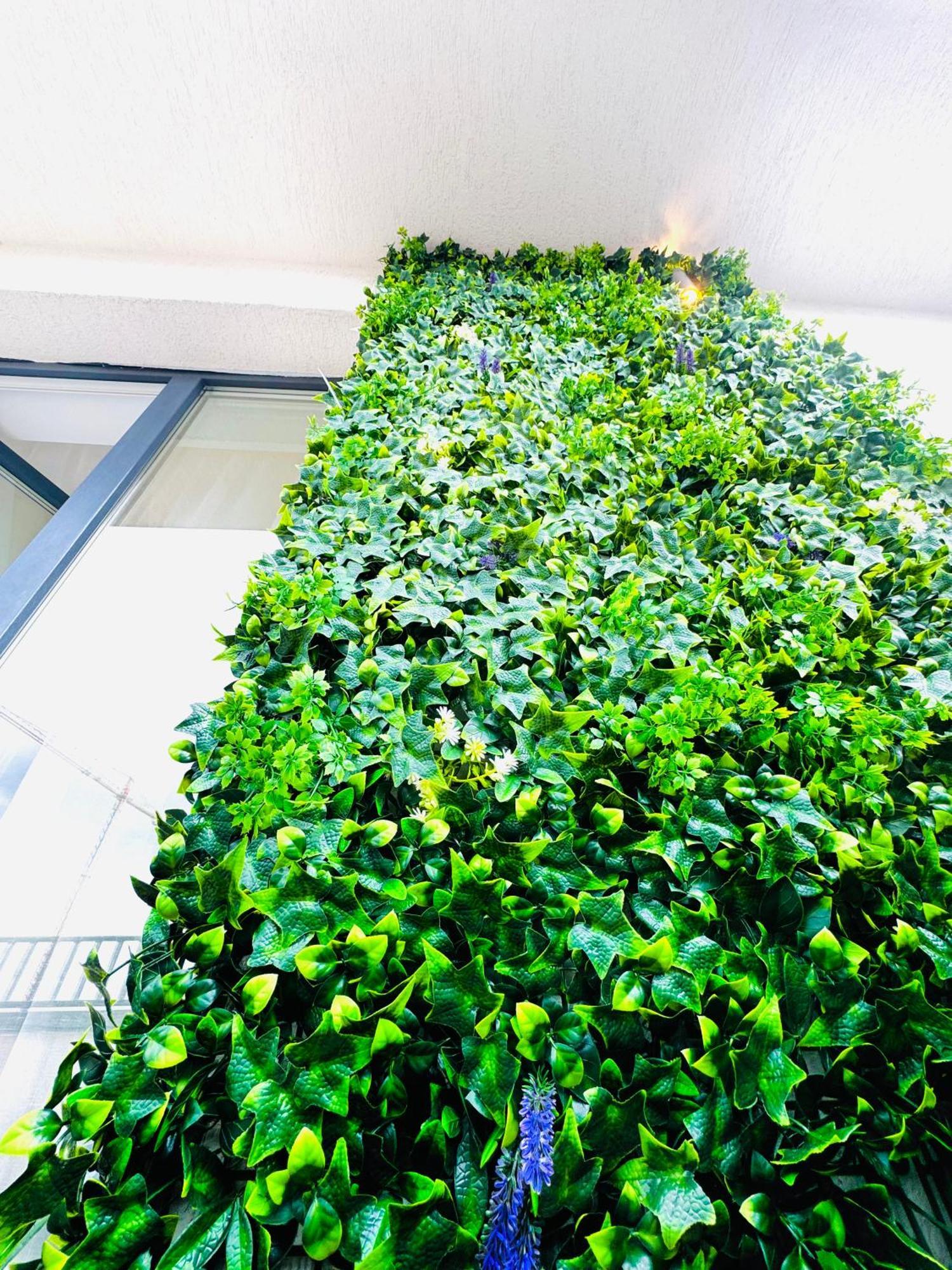 Luxury Apartment Sinuhe براشوف المظهر الخارجي الصورة